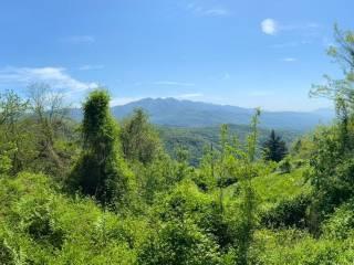 Casale Prà del Prete, Pontremoli — foto 4 di 18