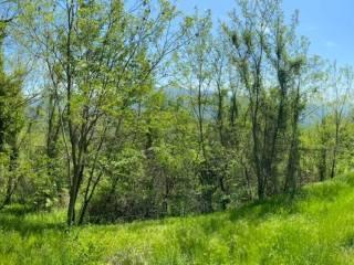 Casale Prà del Prete, Pontremoli — foto 6 di 18
