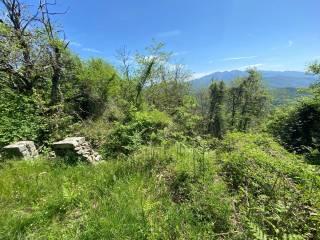 Casale Prà del Prete, Pontremoli — foto 13 di 18