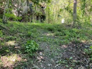 Casale Prà del Prete, Pontremoli — foto 10 di 18