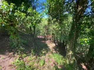 Casale Prà del Prete, Pontremoli — foto 14 di 18