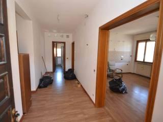 Appartamento via del Cotone, Rosignano Solvay, Rosignano Marittimo — foto 8 di 20