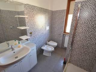 Appartamento via del Cotone, Rosignano Solvay, Rosignano Marittimo — foto 18 di 20