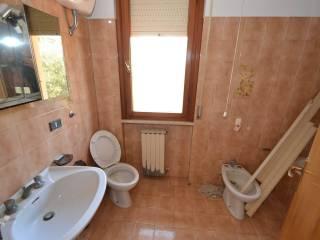 Appartamento via del Cotone, Rosignano Solvay, Rosignano Marittimo — foto 5 di 20