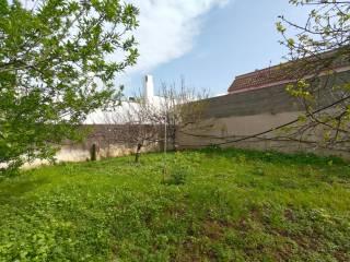 Villa unifamiliare via Federico Fellini 15, Via Lecce, Ospedale, Gallipoli — foto 3 di 56