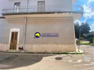 Terratetto unifamiliare piazza Municipio, 1-2, Centro, Torchiarolo — foto 14 di 18