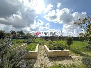 Villa unifamiliare, buono stato, 129 m², Francavilla Fontana — foto 7 di 15