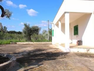 Villa bifamiliare Contrada Specchia Di Mare, San Vito dei Normanni
