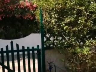 Villa a schiera Località Anastasi SNC, Isola di Capo Rizzuto — foto 13 di 15
