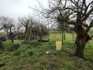 Terratetto unifamiliare via Delta del Po, Taglio di Po — foto 30 di 42