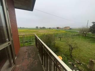 Terratetto unifamiliare via Delta del Po, Taglio di Po — foto 31 di 42