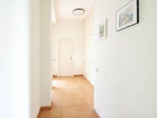 Villa plurifamiliare via Cervi 20, Centro, Monte Urano — foto 10 di 23