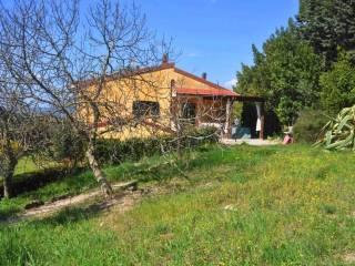 Trilocale buono stato, Pomaia, Santa Luce — foto 12 di 16