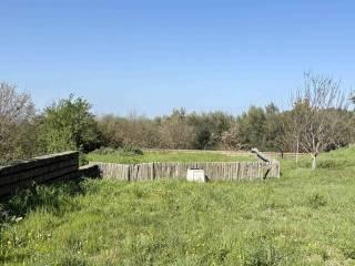 Terratetto unifamiliare via doganella  65, Centro, Vetralla — foto 19 di 40