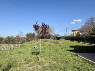 Terratetto unifamiliare via doganella  65, Centro, Vetralla — foto 11 di 40
