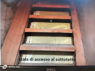 Villa unifamiliare via Torquato Tasso, 2, Fontanetto Po — foto 6 di 27