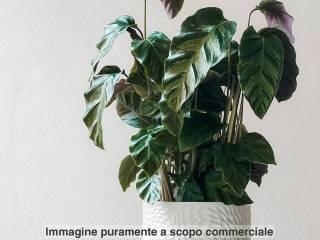 Villa unifamiliare via Torquato Tasso, 2, Fontanetto Po — foto 27 di 27