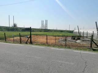 Villa a schiera via Ludovico Ariosto 4, Migliarino, Fiscaglia — foto 19 di 25