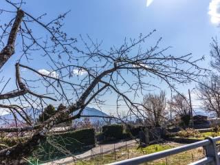 Monolocale via Giuseppe Verdi 21, Centro, Tizzano Val Parma — foto 19 di 23
