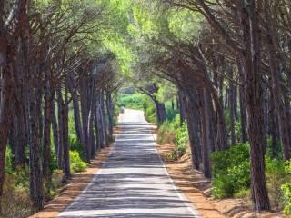 Bilocale nuovo, piano terra, Centro, Santa Teresa Gallura — foto 11 di 25