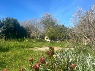 Rustico Strada Vicinale La Tiribba 17, Li Punti - Viziliu, Sassari — foto 14 di 16