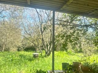 Rustico Strada Vicinale La Tiribba 17, Li Punti - Viziliu, Sassari — foto 3 di 16