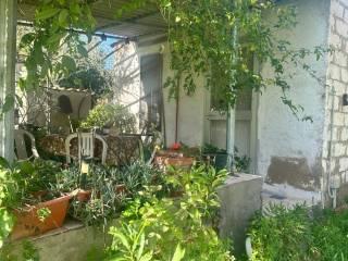 Rustico Strada Vicinale La Tiribba 17, Li Punti - Viziliu, Sassari — foto 8 di 16