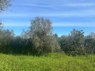 Rustico Strada Vicinale La Tiribba 17, Li Punti - Viziliu, Sassari — foto 15 di 16