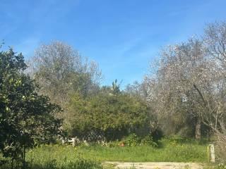 Rustico Strada Vicinale La Tiribba 17, Li Punti - Viziliu, Sassari — foto 12 di 16