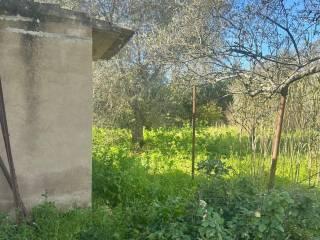 Rustico Strada Vicinale La Tiribba 17, Li Punti - Viziliu, Sassari — foto 5 di 16