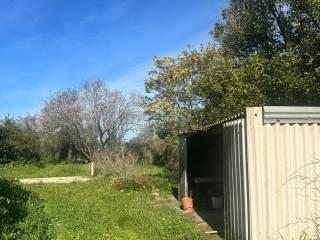 Rustico Strada Vicinale La Tiribba 17, Li Punti - Viziliu, Sassari — foto 7 di 16