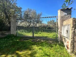 Rustico Strada Vicinale La Tiribba 17, Li Punti - Viziliu, Sassari — foto 13 di 16