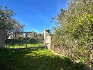 Rustico Strada Vicinale La Tiribba 17, Li Punti - Viziliu, Sassari — foto 9 di 16