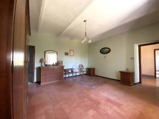 Casa colonica Strada Santa Rosalia, Santa Rosalia, Alba — foto 25 di 26