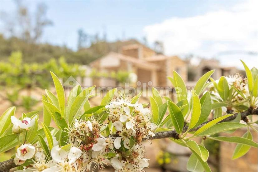 Villa unifamiliare via monte cannas, 47, Castiadas — foto 39 di 39