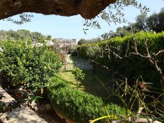 Villa unifamiliare Strada Comunale Monticelli, Centro, Polignano a Mare — foto 31 di 51