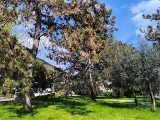 Villa unifamiliare via Giuseppe Carpini, Santa Lucia, Prato — foto 7 di 31