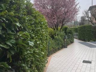 Bilocale ottimo stato, piano terra, Centro, Mozzo — foto 7 di 9