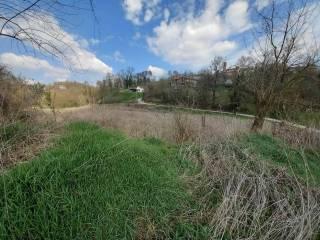 Rustico, da ristrutturare, 440 m², Cortandone — foto 5 di 23
