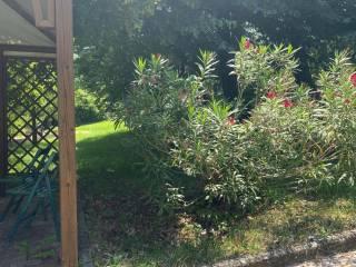Villa unifamiliare via Faviano Superiore 3, Lesignano de' Bagni — foto 5 di 28