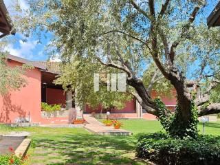 Villa unifamiliare Località Volpe 7, Roseto degli Abruzzi — foto 3 di 20