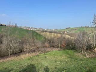 Villa unifamiliare Località Mirandola 200, Salsomaggiore Terme — foto 4 di 44