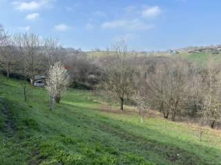 Villa unifamiliare Località Mirandola 200, Salsomaggiore Terme — foto 44 di 44