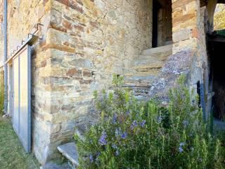 Rustico Strada Cozzano, Langhirano — foto 10 di 18