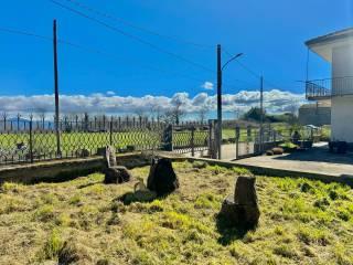 Villa bifamiliare via Cese 35, Roccamonfina — foto 31 di 53