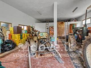 Villa unifamiliare Strada Provinciale 125 snc, Campagnatico — foto 56 di 71