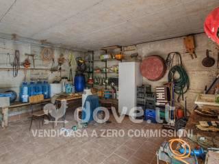 Villa unifamiliare Strada Provinciale 125 snc, Campagnatico — foto 3 di 71
