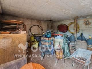 Villa unifamiliare Strada Provinciale 125 snc, Campagnatico — foto 54 di 71