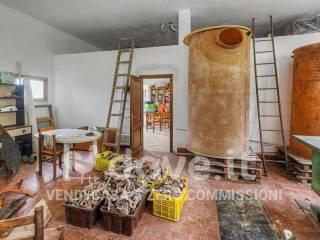 Villa unifamiliare Strada Provinciale 125 snc, Campagnatico — foto 53 di 71