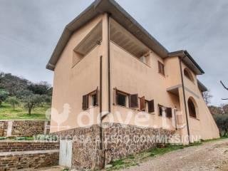 Villa unifamiliare Strada Provinciale 125 snc, Campagnatico — foto 42 di 71